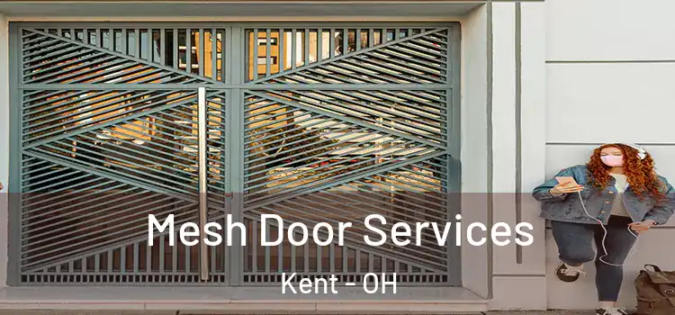 Mesh Door Services Kent - OH