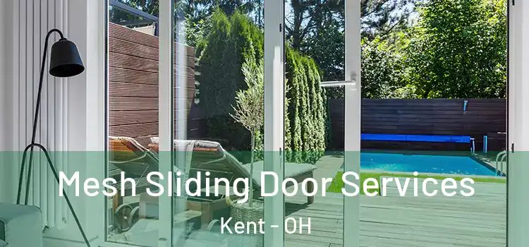 Mesh Sliding Door Services Kent - OH